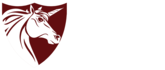 SyR Security & Ethical Hacking Logo